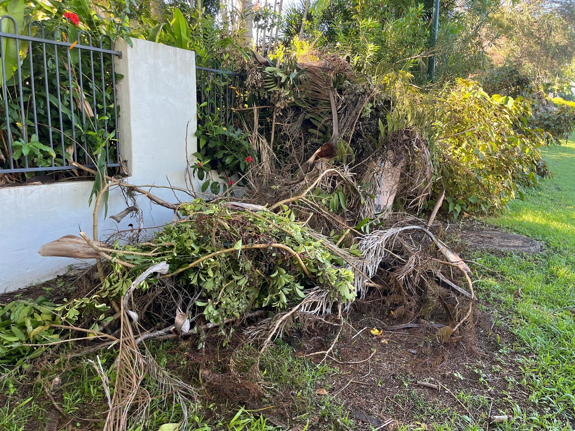 Green Waste Pile Green Waste Pile