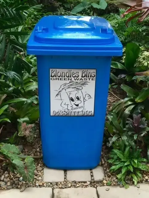 Blondies Bin Blondies Bin