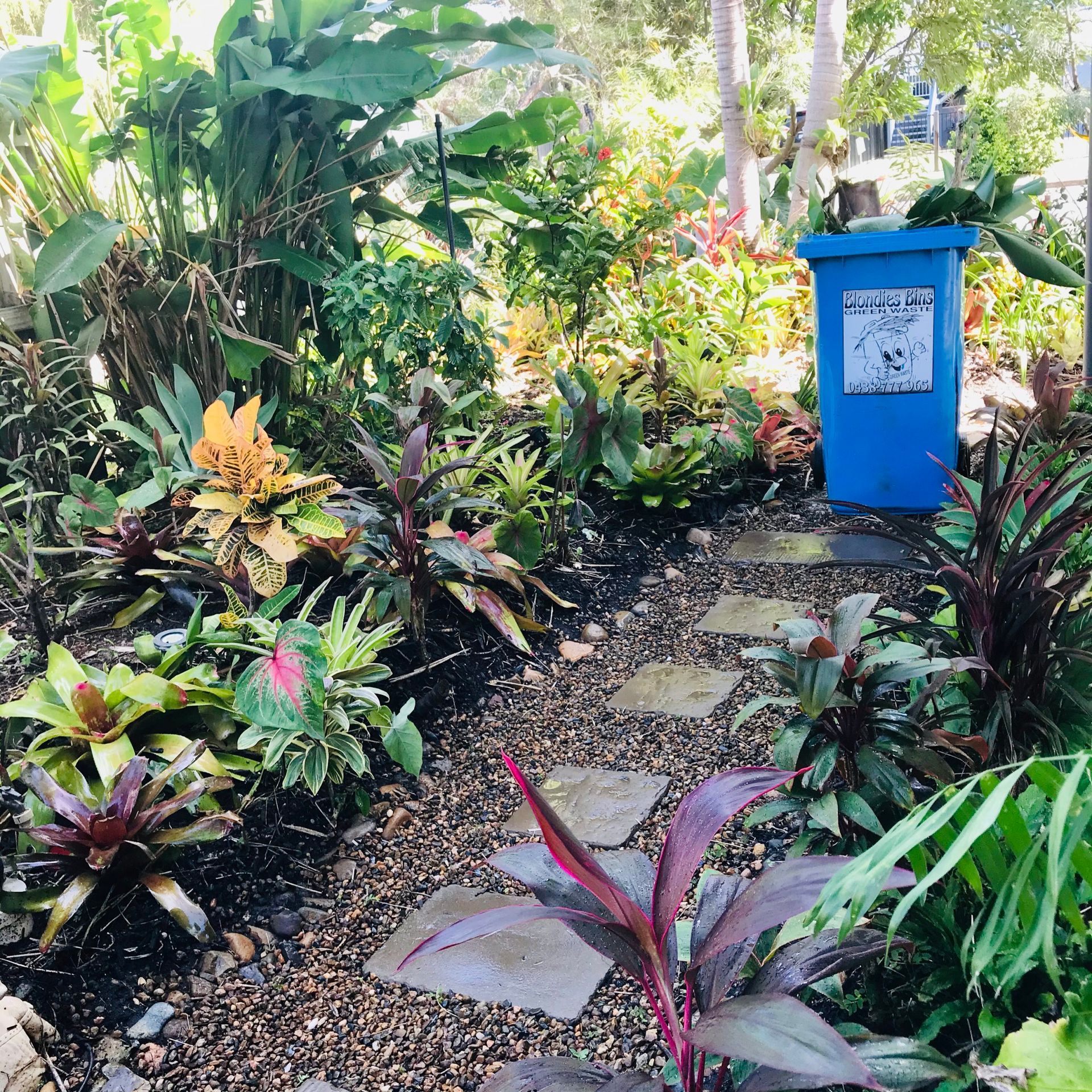 Garden with Blondies Bins Garden Bin Garden with Blondies Bins Garden Bin