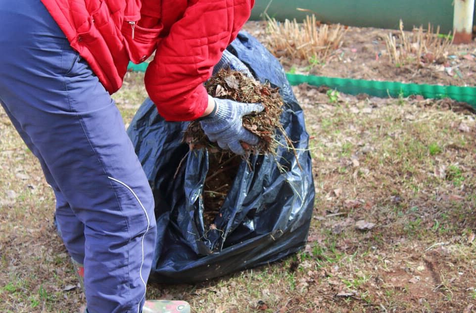 Green Waste into bag Green Waste into bag