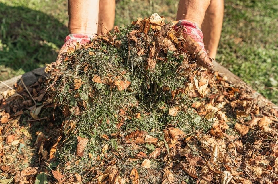 Green Waste Pile Green Waste Pile