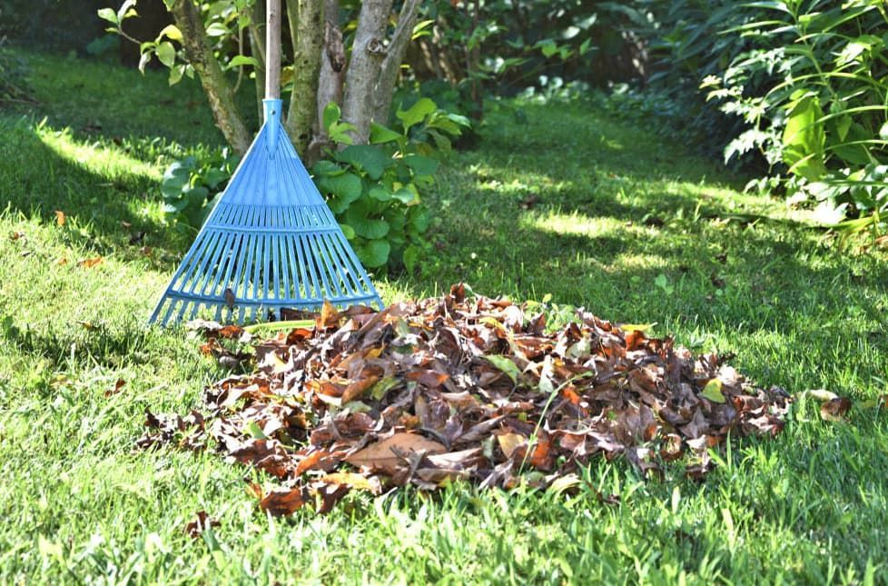 Rake with leaves pile Rake with leaves pile